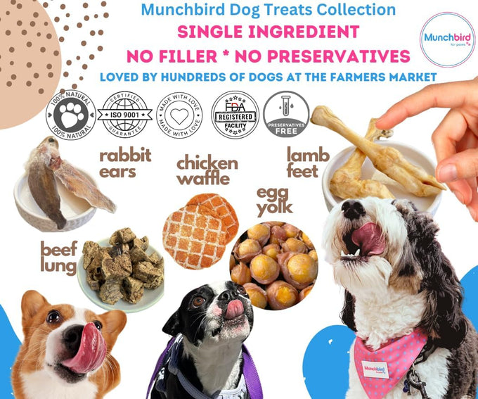 Munchbird Dehydrated Rabbit Ears 100g for Dogs, Natural Fiber, Rawhide Free, European Rabbit Association, France