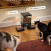 oneisall Automatic Cat Feeder for 2 Cats with 20 Cups/5L Capacity and Timed Feeding