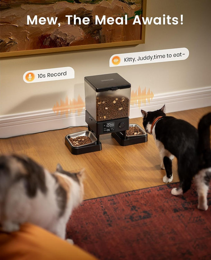oneisall Automatic Cat Feeder for 2 Cats with 20 Cups/5L Capacity and Timed Feeding