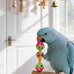 10-pack bird toys for conures, budgies, parakeets & small birds (1.5'' - 5.5'')