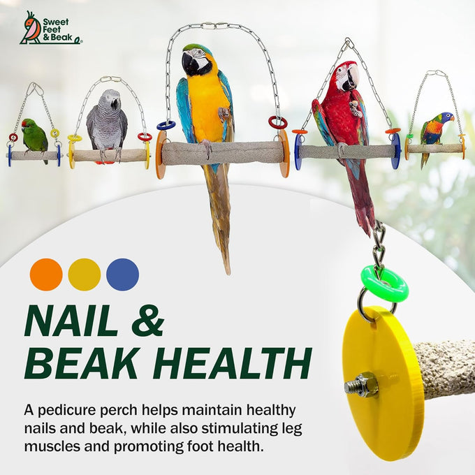 Sweet Feet and Beak XSmall Pumice Perch Bird Swing - Blue, 4.5 Inches, Safe Bird Cage Accessories for Small Birds