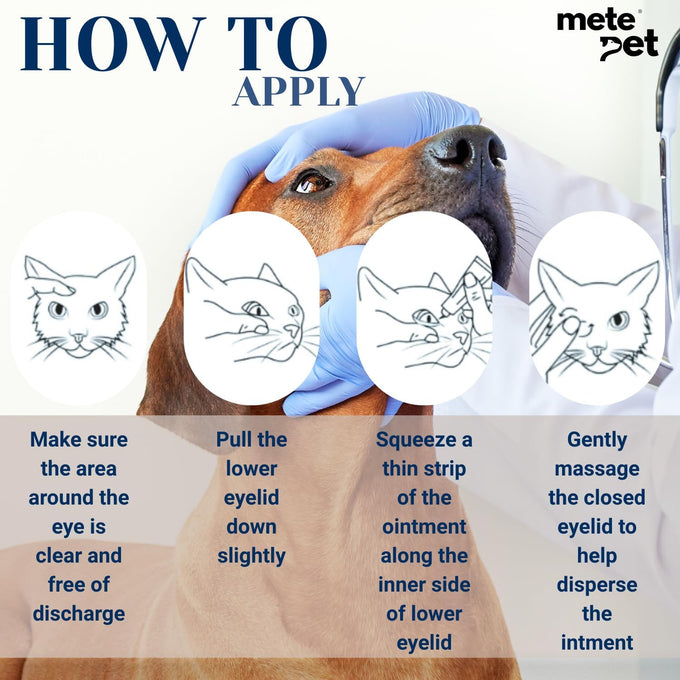 Vetromycin Plus pet eye cream for dogs, cats, cattle, sheep, horses, and birds in 0.35 oz/10 gr tube