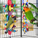 Bissap multicolored bagel parrot toy for conures, cockatiels, macaws, and similar sized pet birds