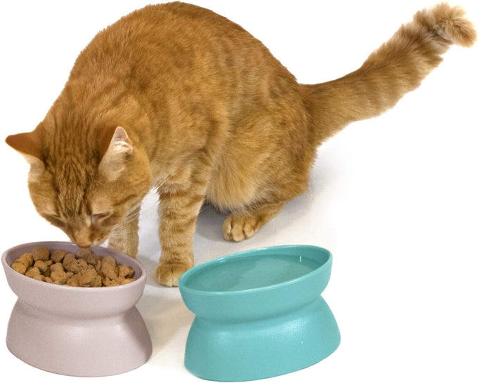 Kitty City elevated cat food & water bowls, set of 2, teal & light pink, 6.5 oz each, dishwasher safe, modern pedestal design