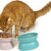 Kitty City elevated cat food & water bowls, set of 2, teal & light pink, 6.5 oz each, dishwasher safe, modern pedestal design