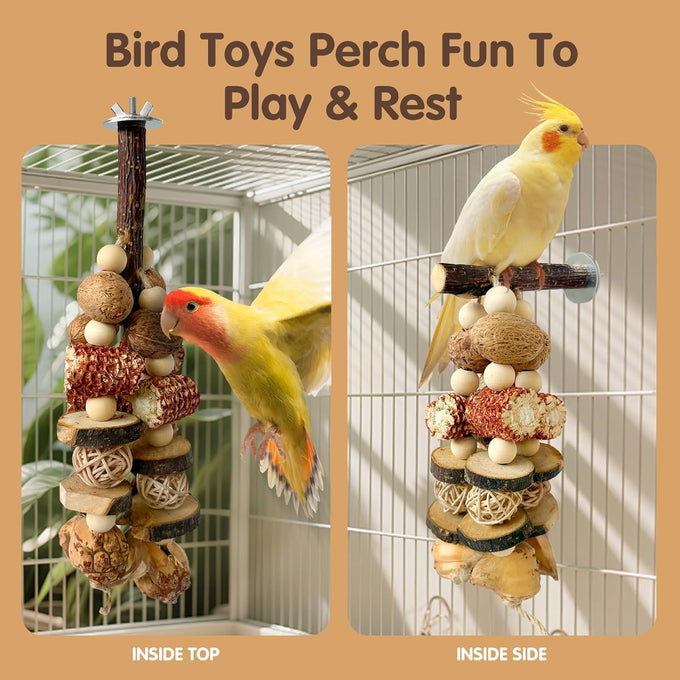 natural apple wood parrot chew toy multi-functional cage hanging foraging toy for small medium birds