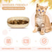 6 inch Wide Shallow Cat Bowls, 4Pcs, Food-Grade PP for Small Cats and Dogs, Whisker Fatigue Relief, Easy to Clean, Multicolor