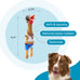 Outward Hound Charming Pet squawkers Earl latex rubber chicken dog toy funny large size