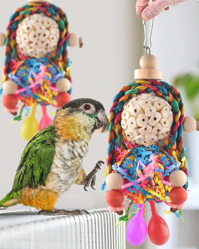 Bissap conure toys, 2pc bird parrot foraging shredder hanging toys with sola balls for small parrots, parakeets, conures, and cockatiels.