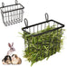 sangle sophfy rabbit hay feeder small animal feeding set with 350ml water bottle