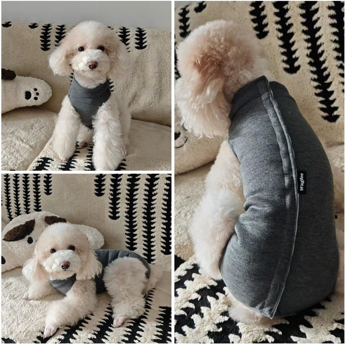 dog recovery suit medium soft cotton e-collar alternative abdominal wound healing small large breeds