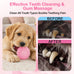 6 pack cute pink small dog toys for puppies, upgraded soft durable chew toys for small dogs