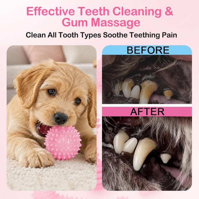 6 pack cute pink small dog toys for puppies, upgraded soft durable chew toys for small dogs