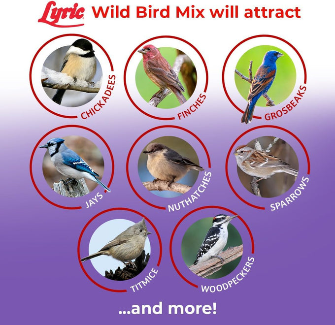 Lyric 20 lb All-Natural Wild Bird Mix with Corn, Nuts, and Sunflower Seeds for Outside Feeders