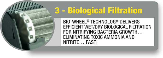 Marineland Rite-Size Penguin Bio-Wheel Filter Cartridges, C-Size, 6-Count, Replacement, US Made