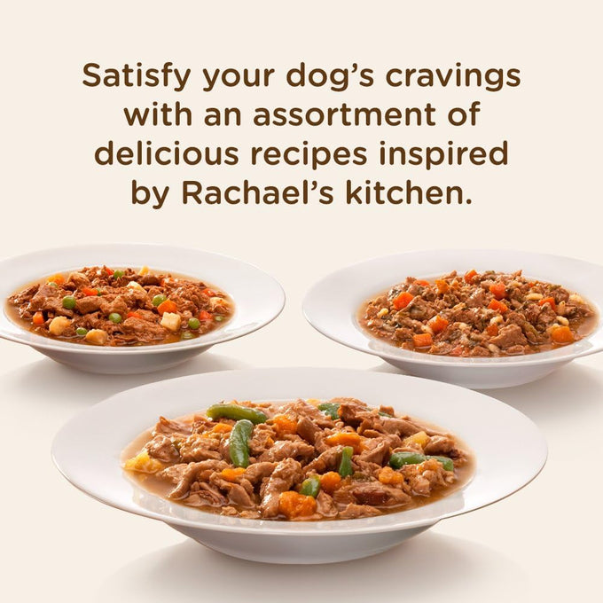 rachael ray savory favorites wet dog food pack of 6