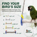 Sweet Feet and Beak XSmall Pumice Perch Bird Swing - Blue, 4.5 Inches, Safe Bird Cage Accessories for Small Birds