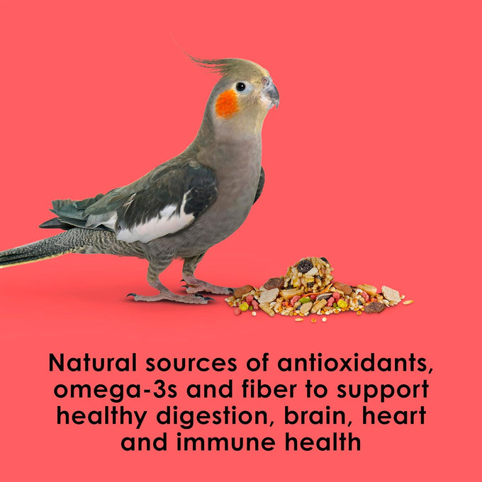 Kaytee Fiesta Cockatiel Food, 2.5 pounds, Nutritious and Fun Blend for Skin, Feather, Digestion, Brain, and Heart Health
