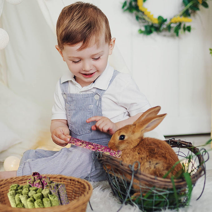 Sofier Timothy Hay Sticks 32PCS Natural Handmade Treats for Rabbit Guinea Pig Hamster Chinchilla Toy Set