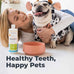 oxyfresh premium pet dental care solution 16 oz water additive for dogs and cats vet recommended