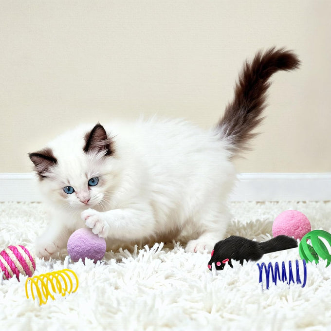 Cat Toys Set for Indoor Cats, 35-Pack Interactive Toy Set with Colorful Springs and Mouse