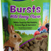 Vitakraft Bursts Wildberry Flavor 1.76 oz Small Animal Treats for Rabbits Guinea Pigs Hamsters