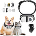 HD 1080P Pet Camera Collar with Video Record Wireless Mini Sport Cam, Small Action Cameras for Pet Supplies