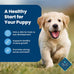 Blue Buffalo Puppy Dry Dog Food, Chicken & Brown Rice, 5 lb
