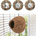 Hypeety coconut shell bird breeding nest toy with ladder and swing for parrot, parakeet, finch, hamster and lovebird