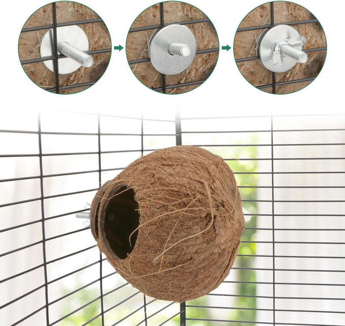 Hypeety coconut shell bird breeding nest toy with ladder and swing for parrot, parakeet, finch, hamster and lovebird