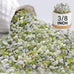 NUPICK 3/8 Inch Polished Pebbles for Indoor Plants, Fish Tank, and Succulents, 3 lbs Natural River Stones
