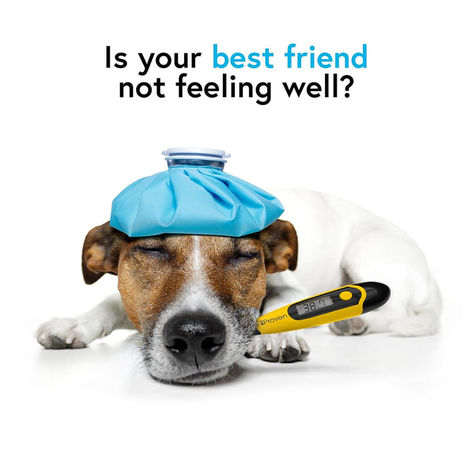 iProven pet thermometer with flexible tip, accurate readings in 20 seconds, waterproof and veterinary supply, DTK-117Y