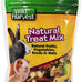 Wild Harvest Glazed Donuts Treats for Small Pets, 2.2 Ounce, Pack of 1, Healthy Chewing Instinct for Guinea Pigs, Hamsters, Gerbils, Rabbits