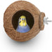 Hypeety coconut shell bird breeding nest toy with ladder and swing for parrot, parakeet, finch, hamster and lovebird