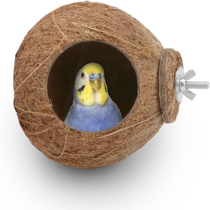 Hypeety coconut shell bird breeding nest toy with ladder and swing for parrot, parakeet, finch, hamster and lovebird