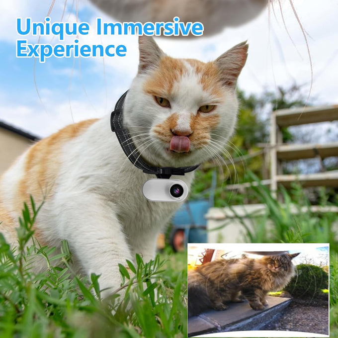 HD 1080P Mini Pet Collar Camera with Video Record and Photos for Dogs and Cats - Small Sports Video Cameras