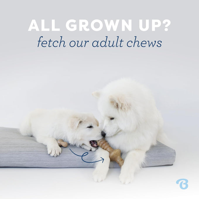 Benebone puppy 2-pack dental chews with real bacon flavor, made in usa, gentle on little teeth