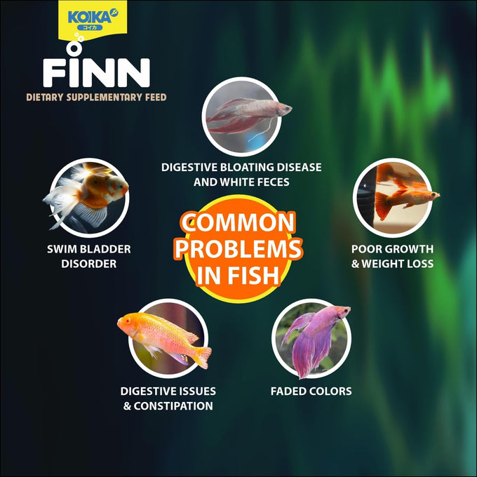 KOIKA FINN Probiotic Fish Food Pellets, 43% protein, Bacillus Probiotics, for ornamental fish, 0.4mm pellets