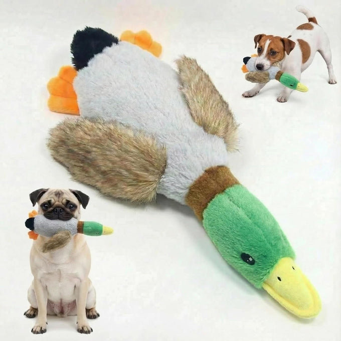 Paw-PERFECT Mallard Duck Squeaky Plush Toy for Small/Medium Size Dogs, Soft Durable Material, Crinkle Wings