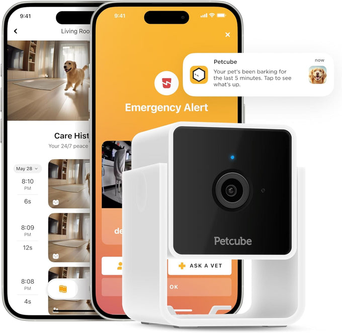 Petcube Cam | 1080p Wi-Fi Pet and Security Camera with 2-Way Audio, Night Vision, and Smart Alerts