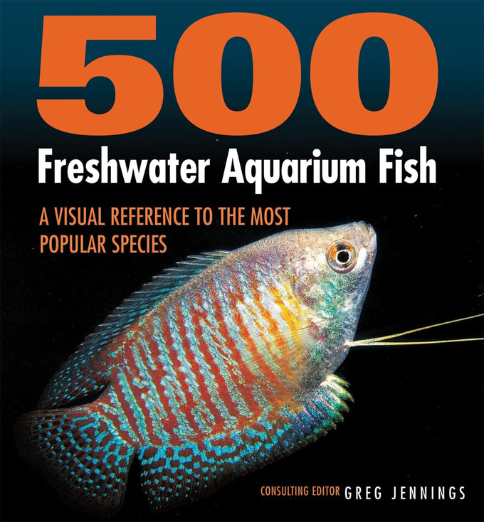 500 Freshwater Aquarium Fish Species: A Visual Reference Guide by [Author's Name] Paperback