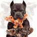 2 pack indestructible nylon dog chew toys, bacon flavor, heavy duty, long lasting for large dogs 20-90 lbs