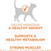Purina ONE High Protein, Healthy Plus Ideal With Chicken Dry Cat Food for Weight Control, 7 lb Bag, Crunchy Kibble
