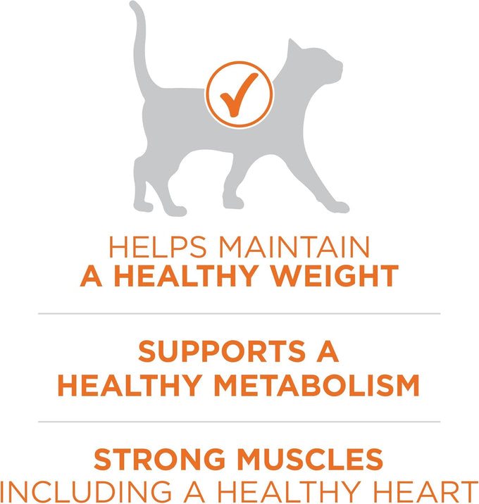 Purina ONE High Protein, Healthy Plus Ideal With Chicken Dry Cat Food for Weight Control, 7 lb Bag, Crunchy Kibble