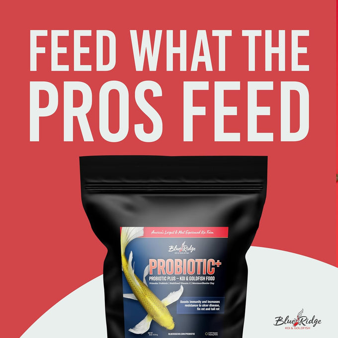 Blue Ridge Probiotic Plus 3/16" Floating Pellet Koi Food, 5lb, for Immunity and Digestion