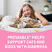 nutramax proviable probiotics for dogs and cats, 5 billion cfus, 80 capsules