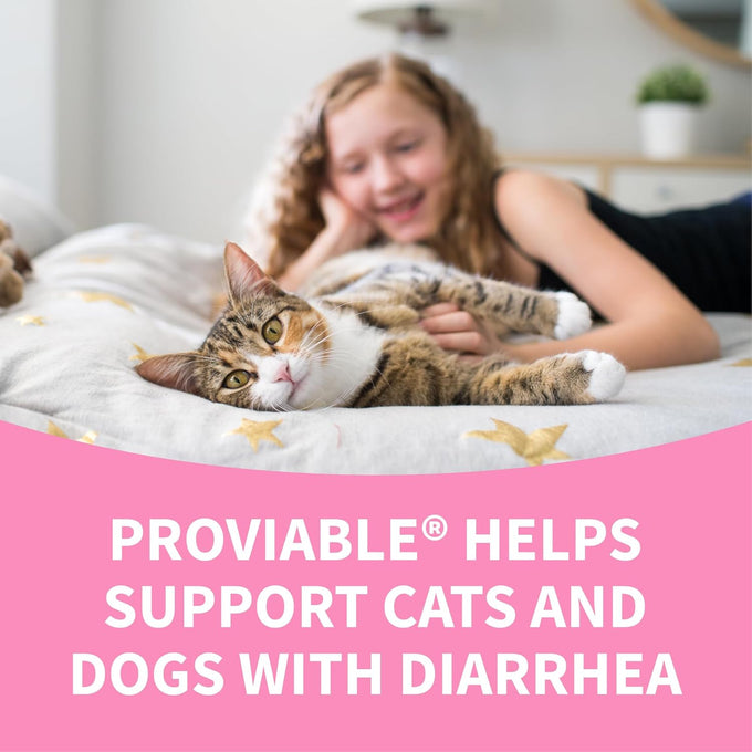 nutramax proviable probiotics for dogs and cats, 5 billion cfus, 80 capsules
