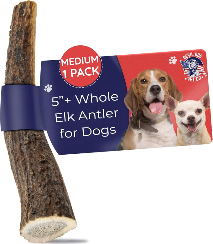 Devil Dog Pet Co. Medium 5+ USA Sourced Natural Elk Antler Dog Chew for Aggressive Chewers