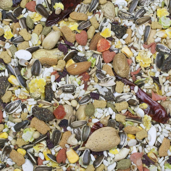 Higgins Sunburst Gourmet Blend Parrot Food 3 lbs pack of 2, nutrition-rich for colorful birds