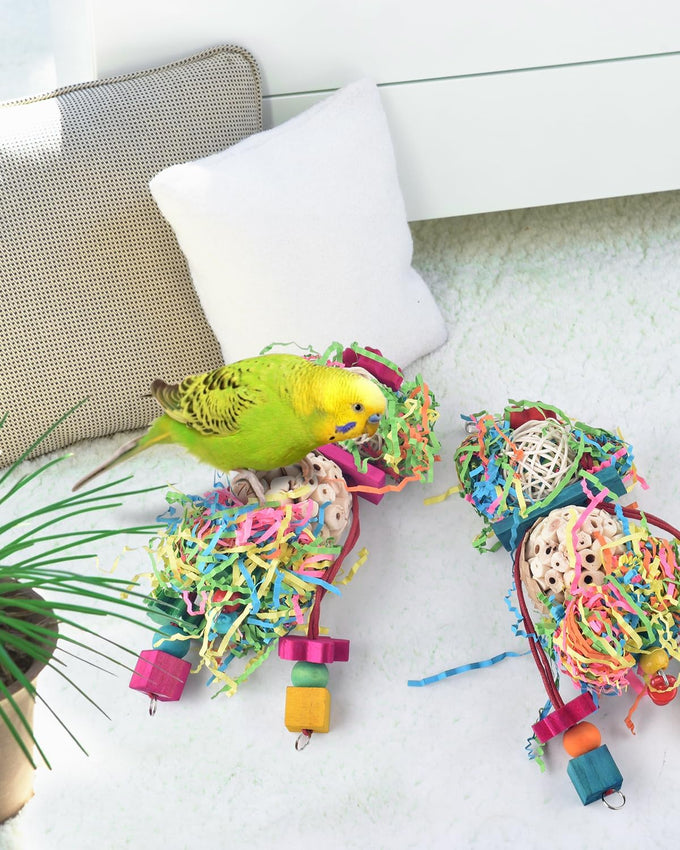 bissap 2pcs parrot foraging shredder toys sola balls sepak takraw for cockatiels parakeets conures love birds cage toy